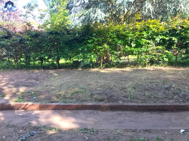 Brixton Backyard Work 10