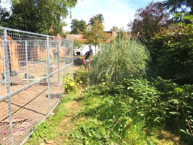 Brixton Backyard Work 04