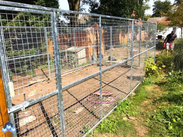 Brixton Backyard Work 05