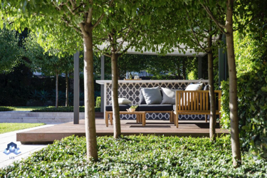 Surrey Backyard Transformation