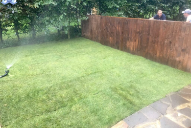 Brixton Backyard Work